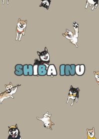shibainu3 - khaki