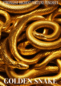 Golden snake  Lucky 61