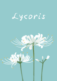 彼岸花♡リコリスvol.2