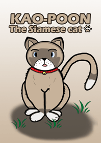 Kao-Poon The Siamese Cat