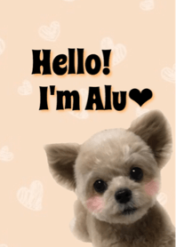 チワプーのAlu