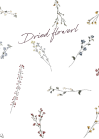 大人シンプルでオシャレなドライフラワー