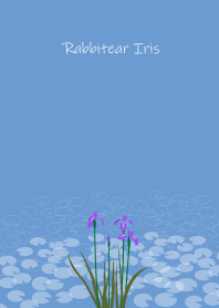April birth flower,Rabbitear Iris.