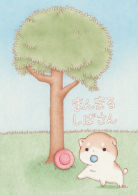 まるしばさん。