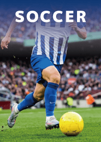 Theme of Soccer4