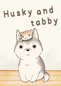 Husky and tabby