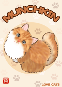 MUNCHKIN THEME
