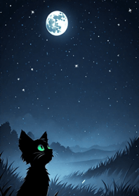 Black cat under the starry sky 3F7cDe
