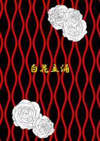 Shirahana Tachibana