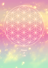 ทางช้างเผือกอันสดใสดอกไม้แห่งชีวิต 9