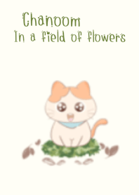 Chanoom: In a field of flowers