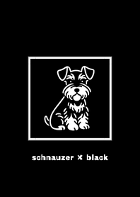 シュナウザー × ブラック 02