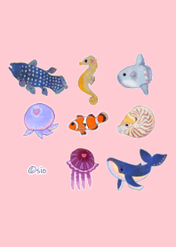 Fun sea friends