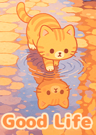 Healing-Tabby cat in puddle 1.7