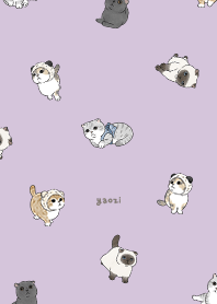 neko combo1 - grape