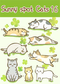 sunny spot cats No16 Clover
