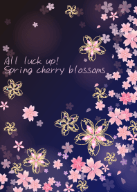 All luck up! Cherry blossoms at night