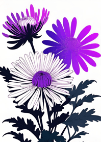 Chrysanthemum   F2F012