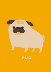 Orange pug