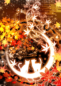 Good luck white cat and autumn leaves