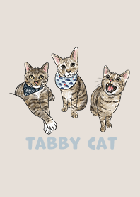 tabbycat2 / beige