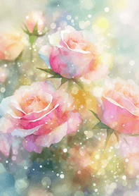 Beautiful rose flower(R2795)