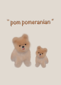 Pom pomeranian : draw
