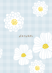 White flower cute30 from Japan