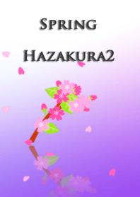 Spring<Hazakura2>
