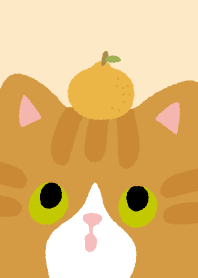 Lucky Orange Cats7