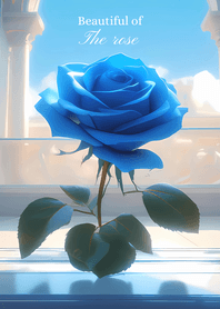 Beautiful of rose