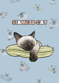 siamesecats4 - blue