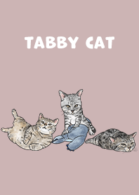 tabbycat5 / rose pink