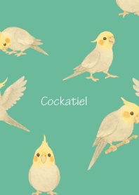 Cute Cockatiel3 blue green