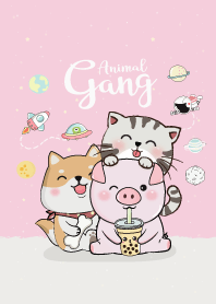 Animal Lover. (Pig Dog Cat)