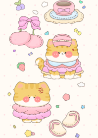 Little cat, small shoes