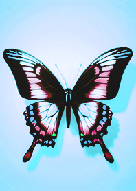 Simple beauty spread wings butterfly 5