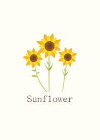 Sunflower's warm breath
