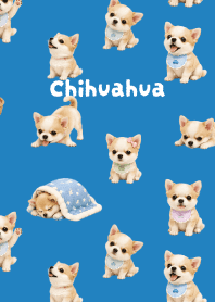 I love Chihuahuas01 blue