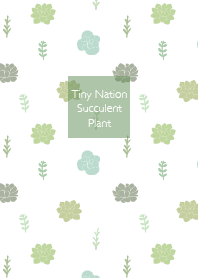 Tiny Nation - Succulent Plant