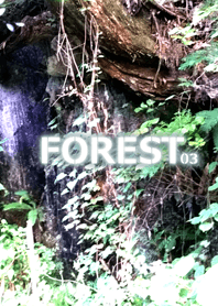 FOREST-森林03