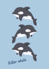 シャチ・シンプル2