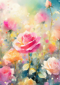 Beautiful rose flower(R5844)