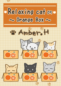 Relaxing cat No.5 - orange box -
