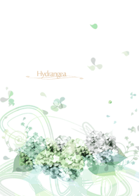 artwork_Hydrangea