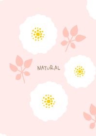 round white flowers leaves14 from Japan