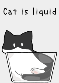 Kucing itu cair [putih x hitam]