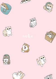neko combo5 / pink