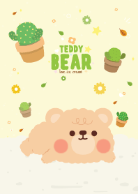 Teddy Bear Cactus Farm Cutie