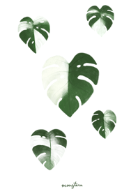 Minimal : Monstera for Rich